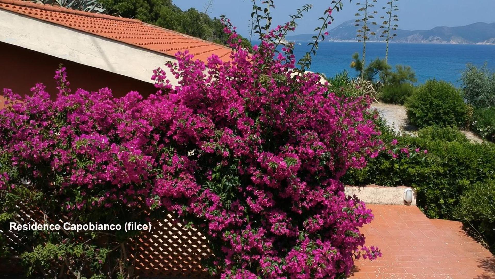 Residence Capobianco Portoferraio Dış mekan fotoğraf